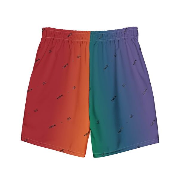 QueerCurrents x Lab K Multi Colour gradient swim short